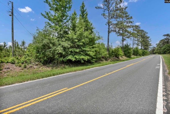 BULL SWAMP RD, NORTH, SC 29112 - Image 7ed11bc85892eacf4cac0c4d491141f0/207882286