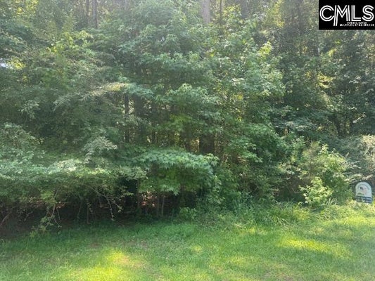 S CIRCLE DR, ORANGEBURG, SC 29118 - Image 7f12d24afd167b8cf64b42cfd7cbb6f8/2595427604