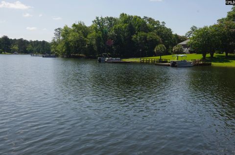 A home in Chapin