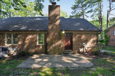 Photo of 331 Maid Stone Road, Irmo, SC 29063 (MLS # 636130)