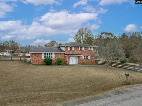 Photo of 560 Edisto Drive, Batesburg, SC 29006 (MLS # 623572)