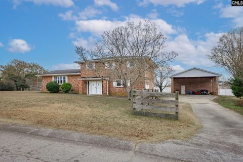 Photo of 560 Edisto Drive, Batesburg, SC 29006 (MLS # 623572)