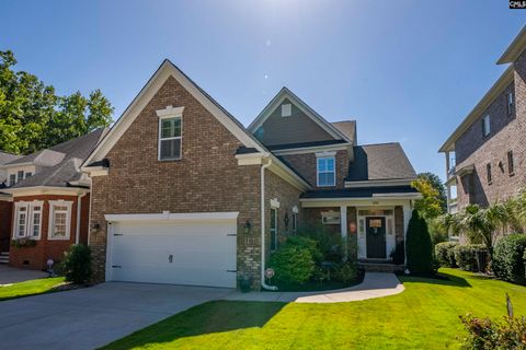 Photo of 205 Palm Lake Drive, Columbia, SC 29212 (MLS # 620553)