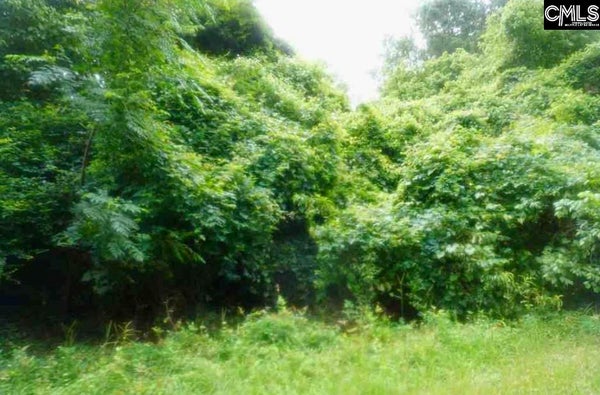 FRINGETREE RD, SAINT MATTHEWS, SC 29135 - Image 804cc964bc89a92bd28eab7efd6624d4/2683081943