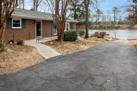 Photo of 269 Mary Drive, Chapin, SC 29036 (MLS # 624159)