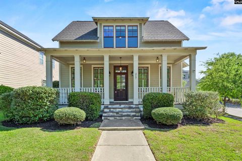 Photo of 217 Baysdale Drive, Columbia, SC 29229 (MLS # 632000)