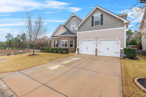 A home in Chapin