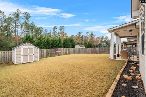 A home in Chapin