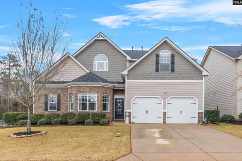 A home in Chapin