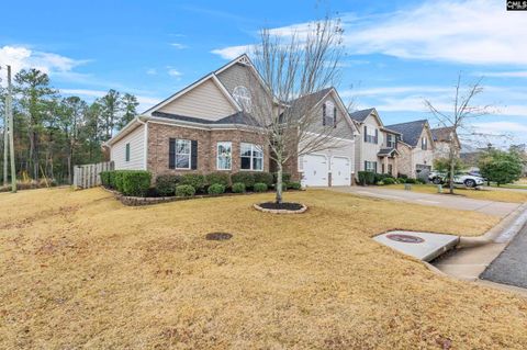 A home in Chapin