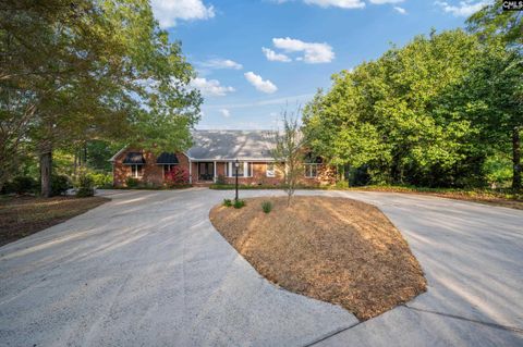 Photo of 370 Chapel Creek Drive, Santee, SC 29142 (MLS # 627185)