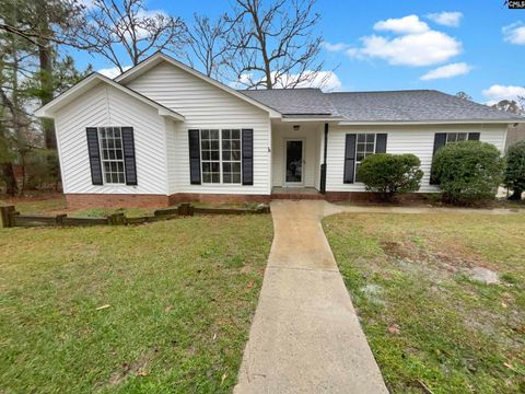 A home in Chapin