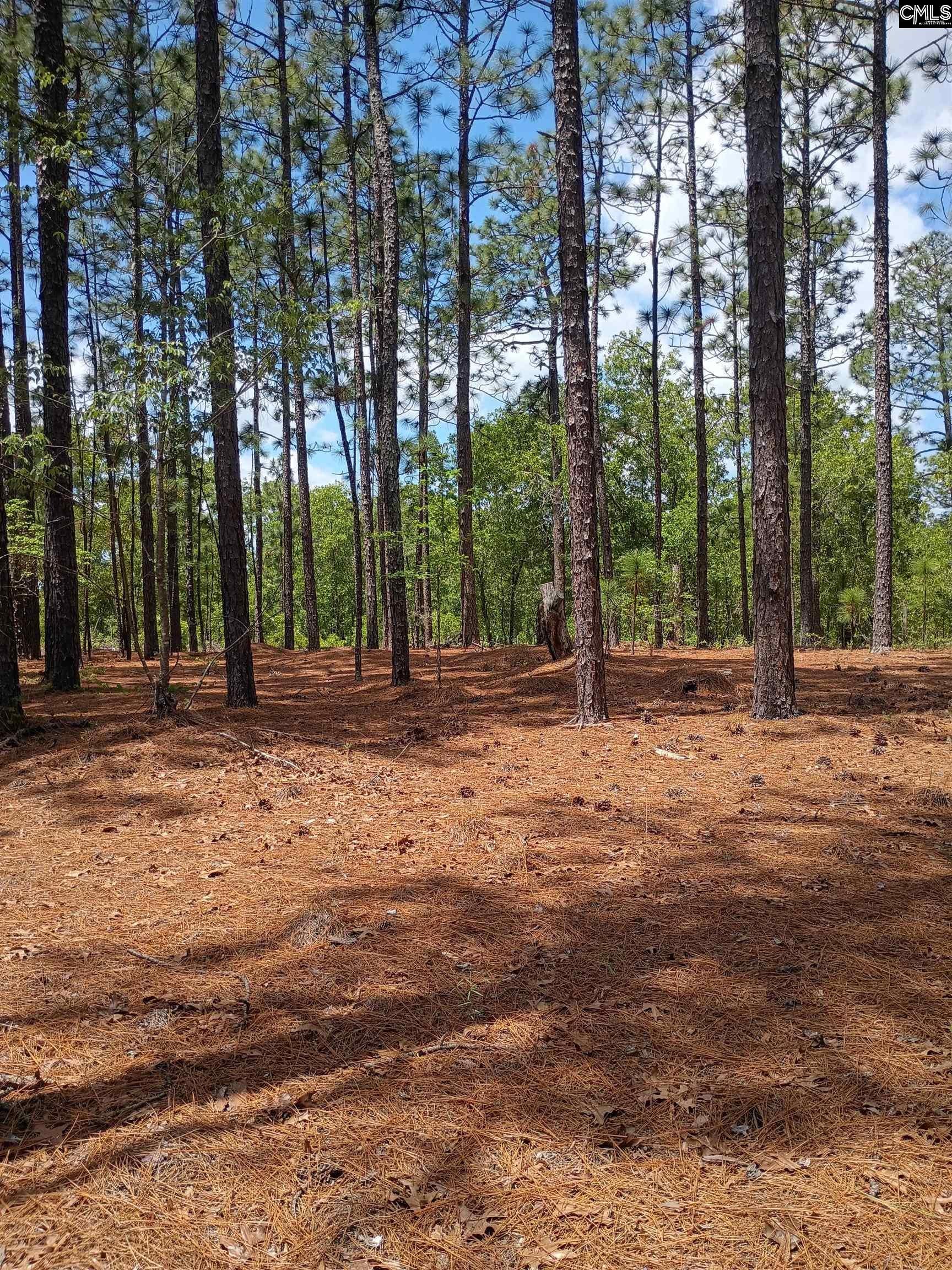 178 Homestead Lane Ln, Society Hill, SC, 29520
