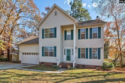Photo of 205 Angus Drive, Columbia, SC 29223 (MLS # 624329)