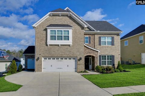 Photo of 142 Almofini Lane, Chapin, SC 29036 (MLS # 622767)