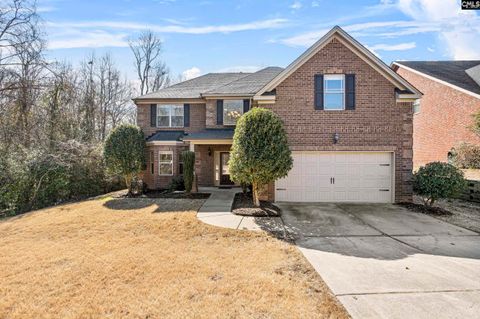 A home in Chapin