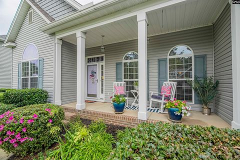 A home in Chapin