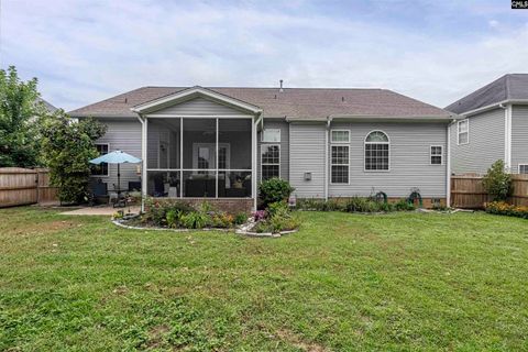 A home in Chapin