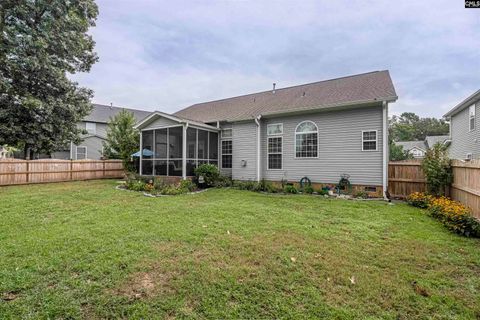 A home in Chapin