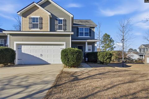 Photo of 257 Allenbrooke Way, Lexington, SC 29072 (MLS # 626412)