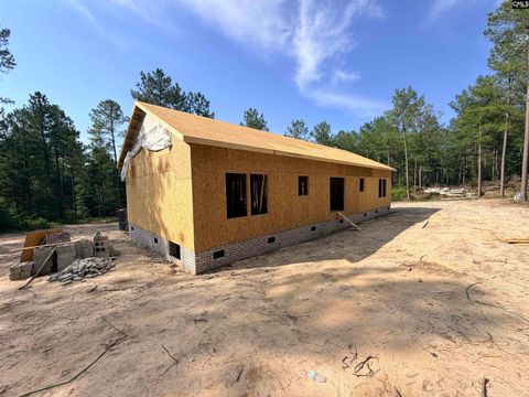 Photo of 317 Tarpon Road, Batesburg, SC 29006 (MLS # 638939)