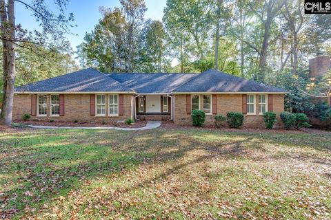Photo of 123 Stephenson Lane, Columbia, SC 29212 (MLS # 620789)