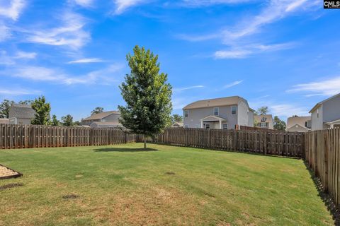 A home in Chapin