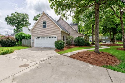 A home in Chapin