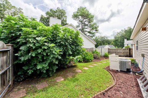 A home in Chapin