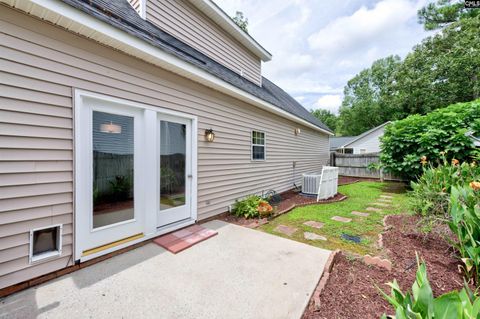 A home in Chapin