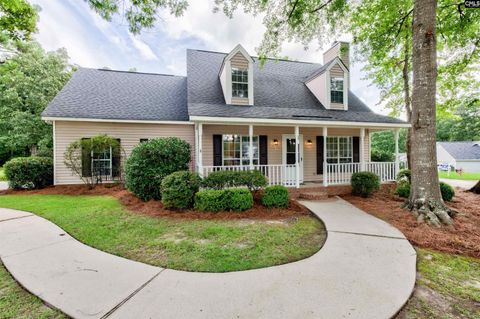 A home in Chapin