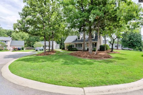 A home in Chapin