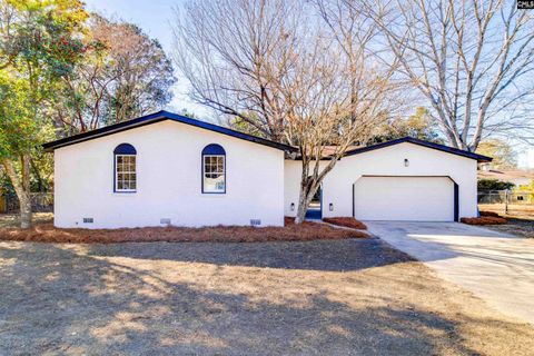 Photo of 211 Sonny Drive, Gaston, SC 29053 (MLS # 623357)
