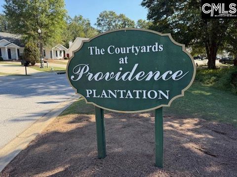 Photo of 527 Providence Crossing Drive, Columbia, SC 29203 (MLS # 619418)