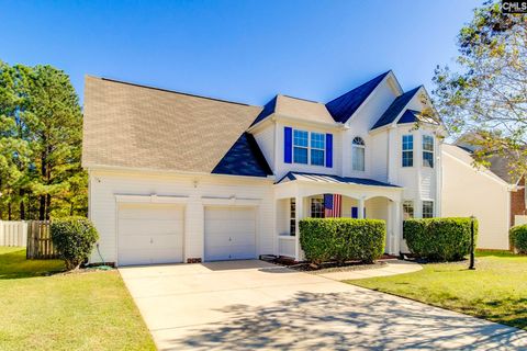 Photo of 206 Water Hickory Way, Columbia, SC 29229 (MLS # 620288)