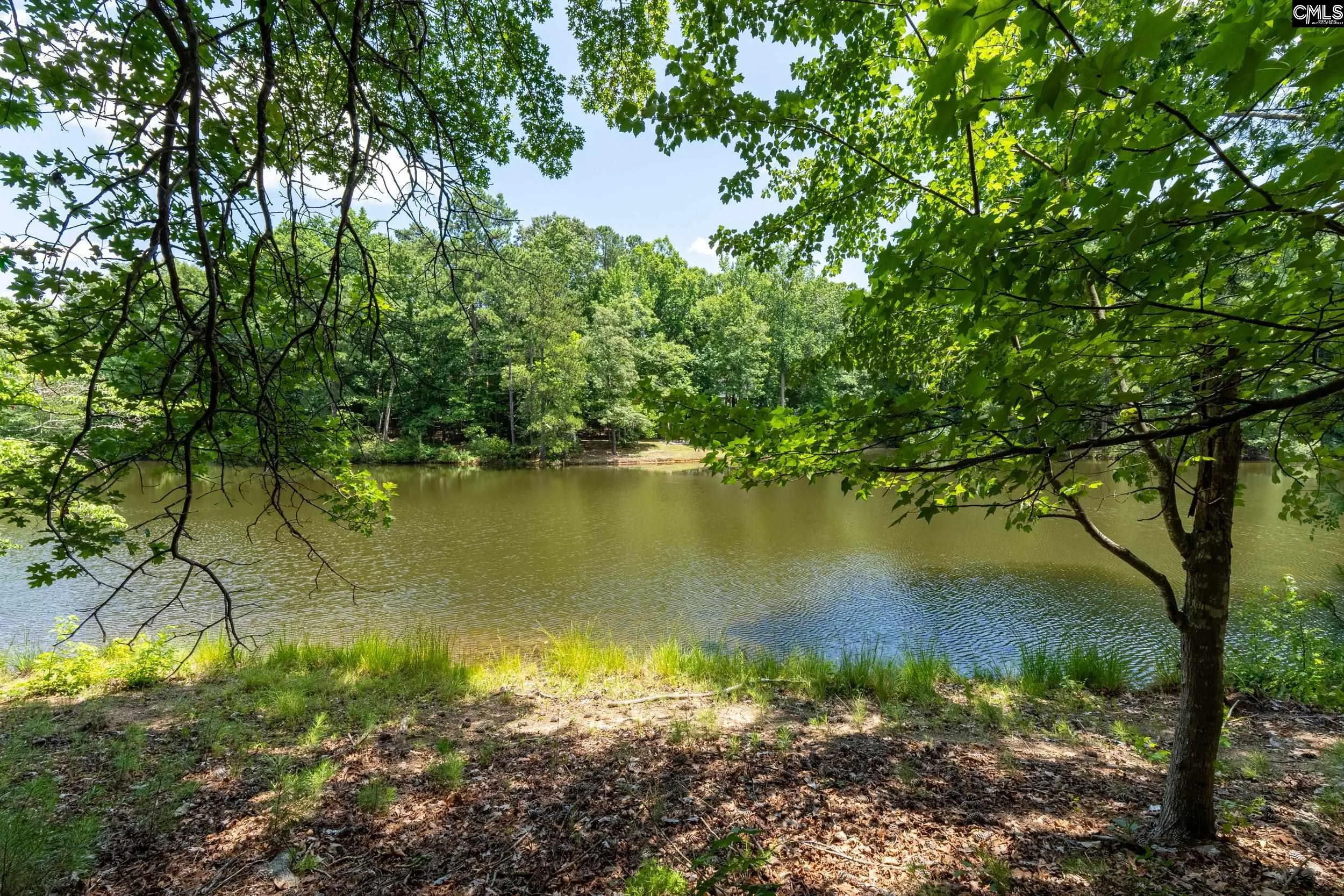 204 Ashley Oaks Drive