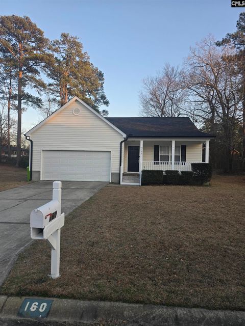Photo of 160 Cane Brake Drive, Columbia, SC 29223 (MLS # 627414)