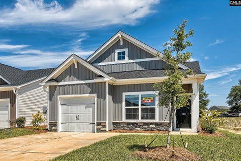 Photo of 128 Calm Citadel Drive, Pelion, SC 29123 (MLS # 642292)