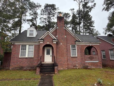 Photo of 1009 Wildwood Avenue, Columbia, SC 29203 (MLS # 620917)