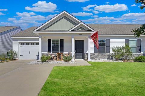 Photo of 297 Wahoo Circle, Irmo, SC 29063 (MLS # 618721)