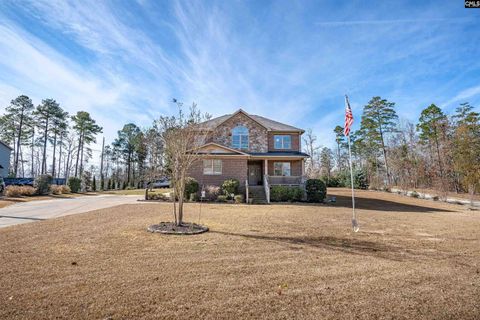 A home in Chapin