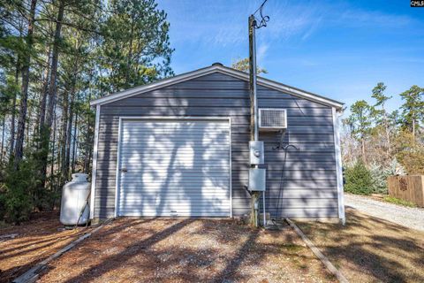 A home in Chapin