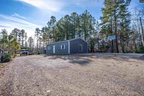 A home in Chapin