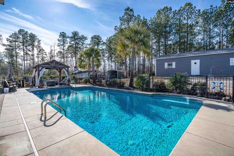 A home in Chapin