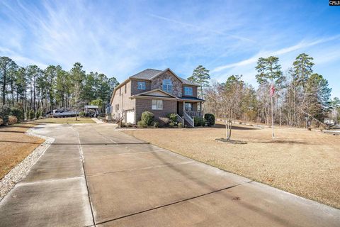 A home in Chapin