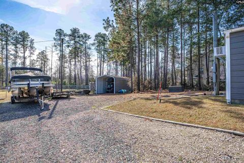 A home in Chapin