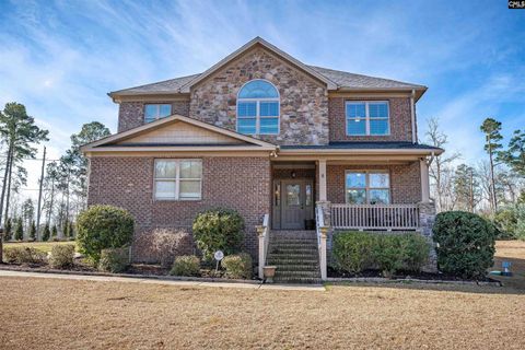 A home in Chapin