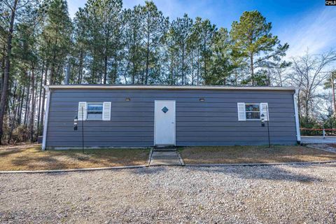 A home in Chapin