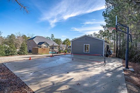 A home in Chapin