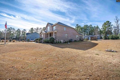 A home in Chapin